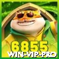 win - VIP Pro
